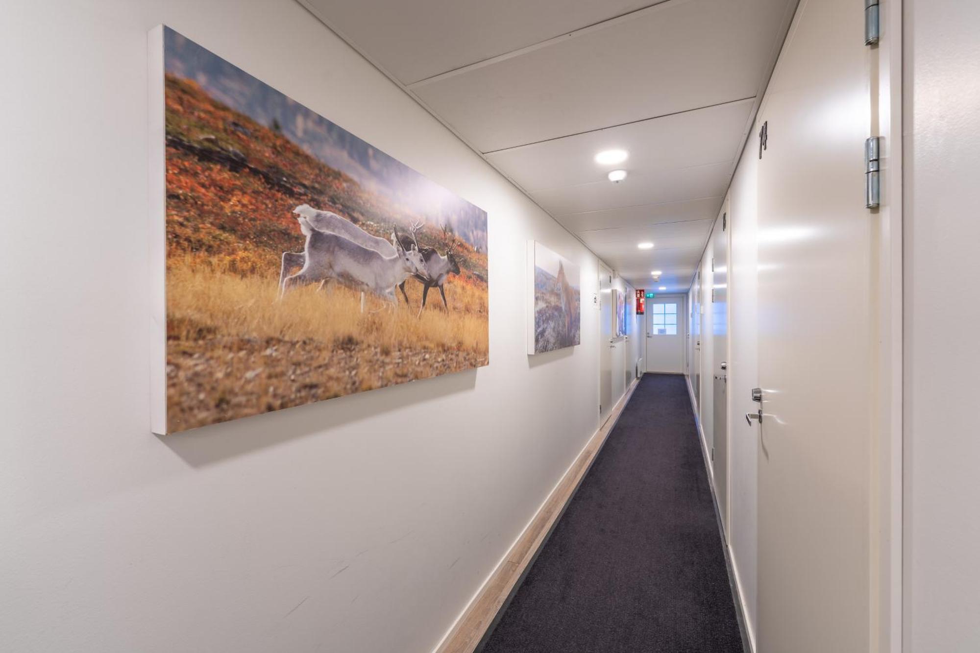 Kuukkeli Saariselkae Inn Exteriör bild